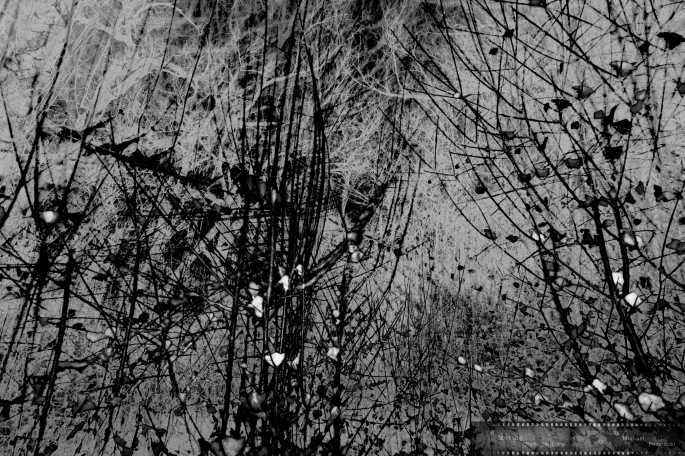 Deeper-Impression-of-Light-and-Movement-1-as-Smart-Object-1