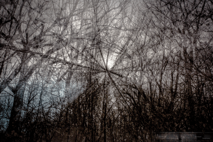 Impression-of-Light-and-Movement-1_wildpark-Ne-as-Smart-Object-1