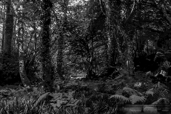 _Motion-of-Light-in-the-Shadows-5-Killarney-National-Park_Ir--as-Smart-Object-1
