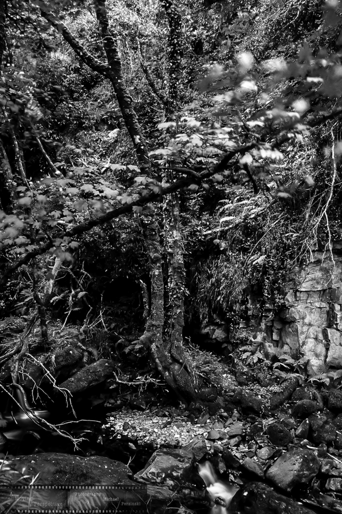 _Motion-of-Light-in-the-Shadows-6-Killarney-National-Park_Ir--as-Smart-Object-1