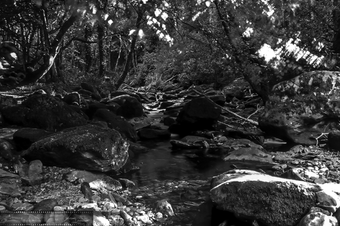 _Motion-of-Light-in-the-Shadows-7-Killarney-National-Park_Ir--as-Smart-Object-1