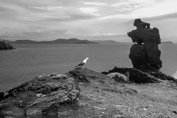 Sanctuary-on-the-Edge-1-Skellig-Michael-islands-