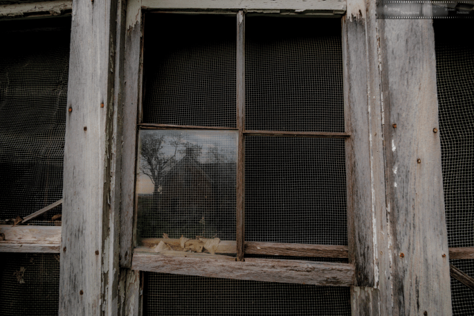 Still-In-Transition-17_KC_M-as-Smart-Object-1