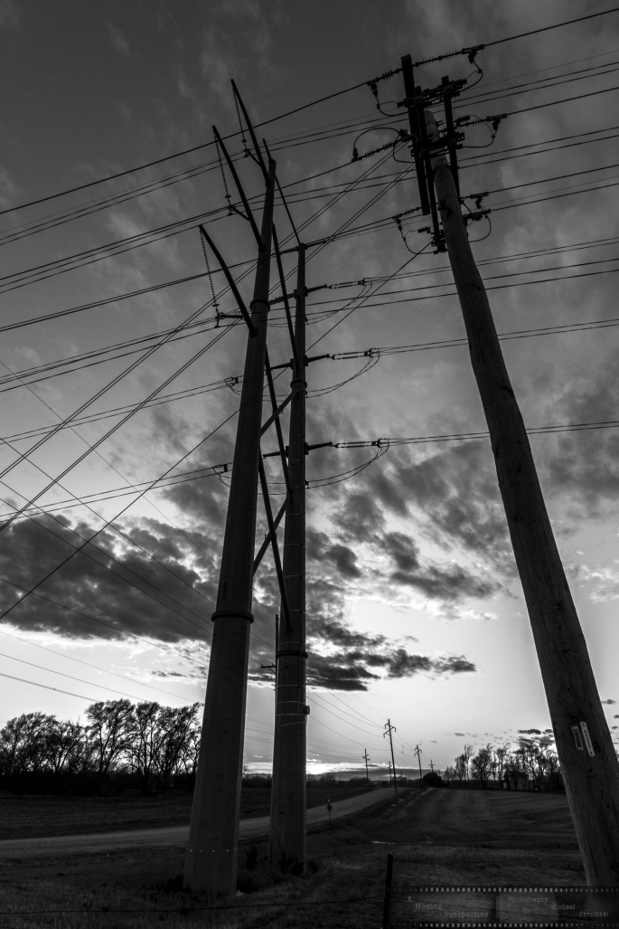 Wired-Landscape-6_Garland_NE-as-Smart-Object-1