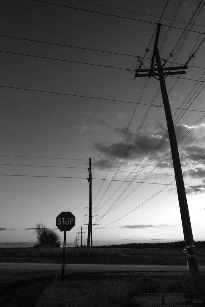 Wired-Landscape-8_Garland_NE-as-Smart-Object-1