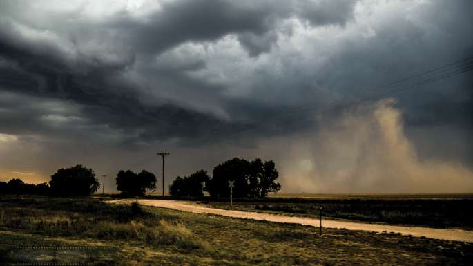 2016-Dust-Bowl-3_NM_2016-as-Smart-Object-1