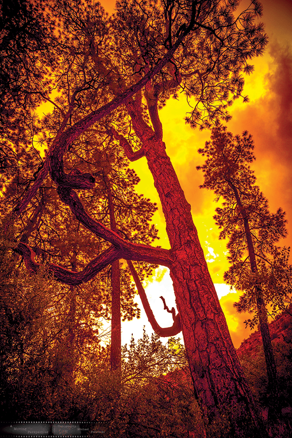 Adversity-builds-strength-2