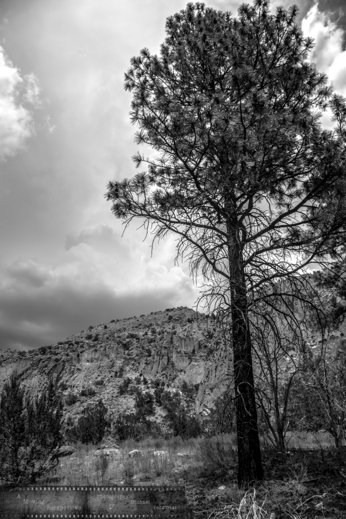 Pueblo-Cliffs-4(-NM-2016)