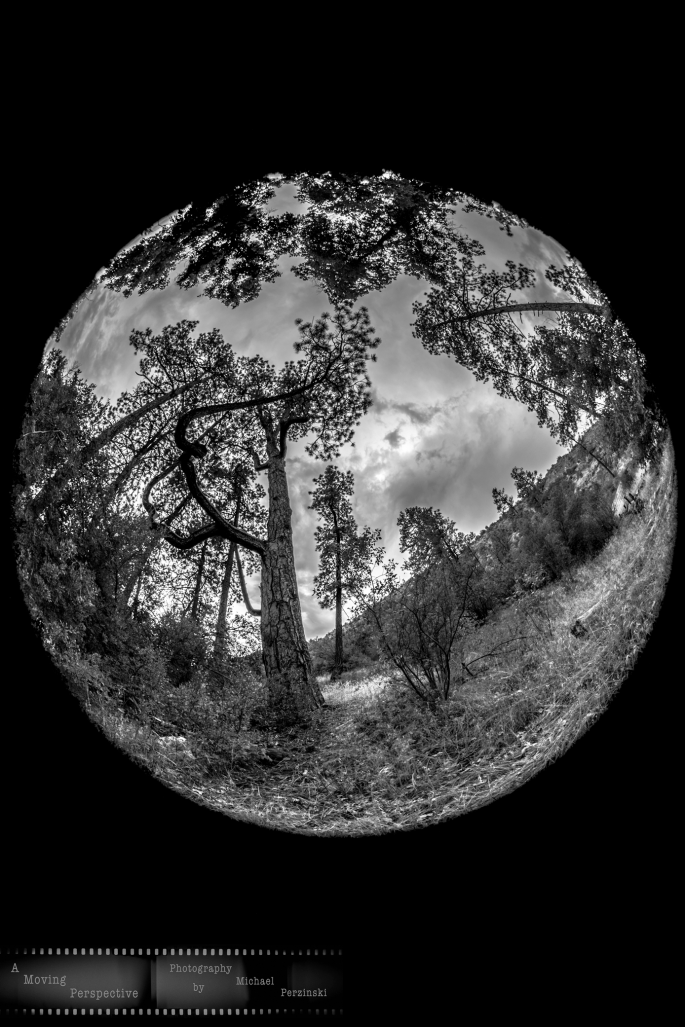 Strength-Through-Adversity-4